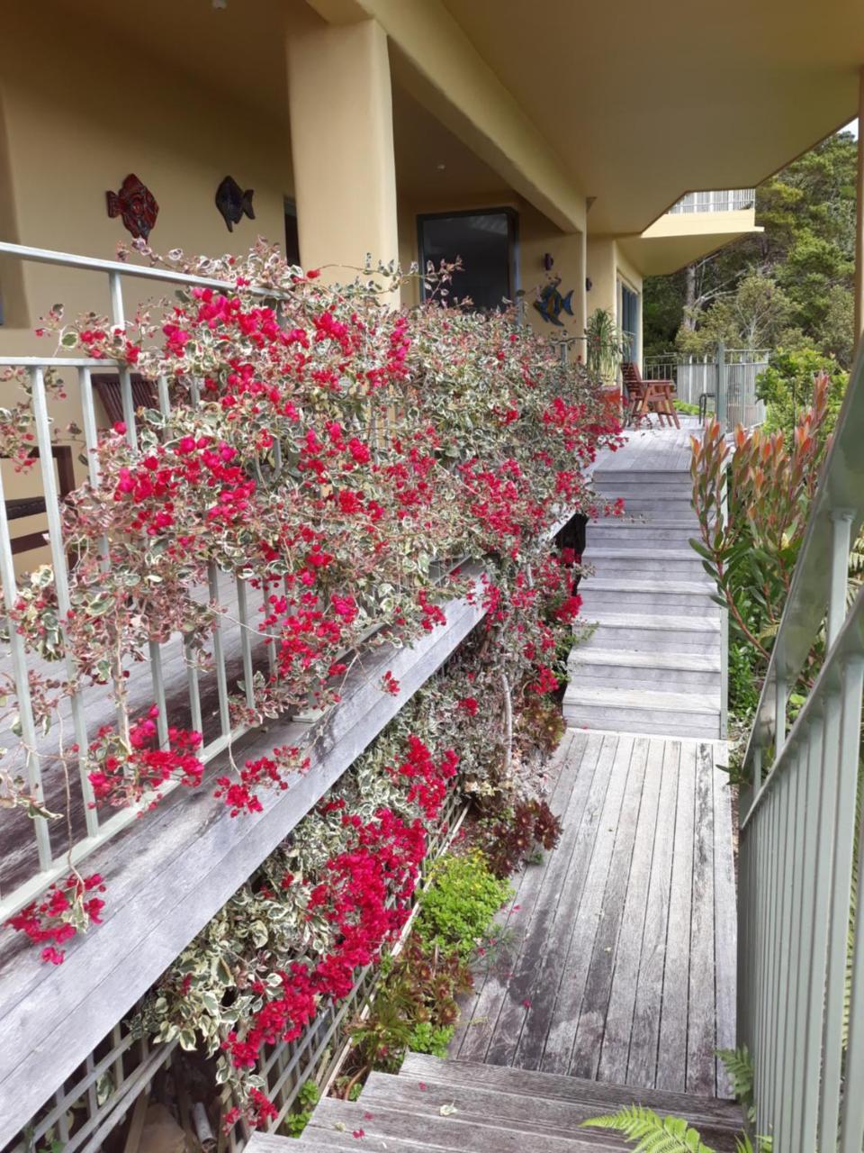Allegra House Paihia Εξωτερικό φωτογραφία